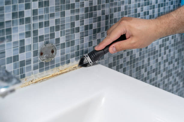 Mold Testing and Removal in Maple Plain, MN